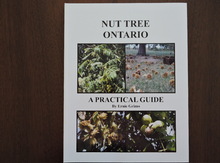 Nut Tree Ontario - A Practical Guide Image