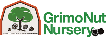 Grimo Nut Nursery