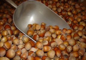 Hazelnut Image