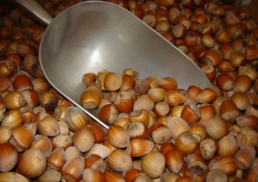 Hazelnut Image