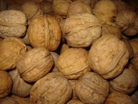 Nuts To Eat Image