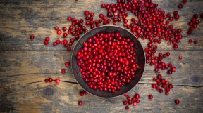 Lingonberry Image