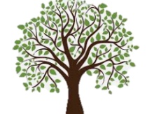 Image for SERVICES and fees