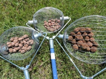 Image for Harvest Tools