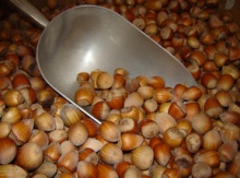Hazelnuts in-shell Image