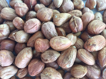 Shelled Hazelnuts Image