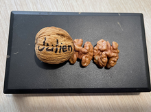 'Julien' Northern (Persian) Walnut Image