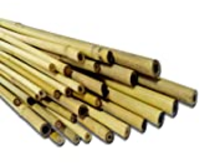 7 foot Bamboo Stakes Image